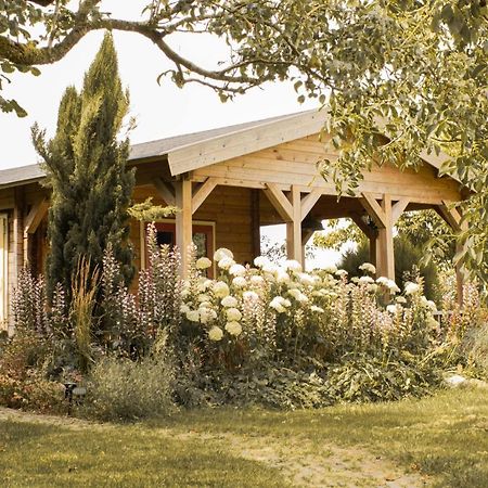 Chalet Ben In Broek Benningbroek 외부 사진