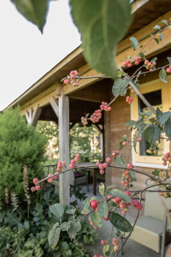 Chalet Ben In Broek Benningbroek 외부 사진